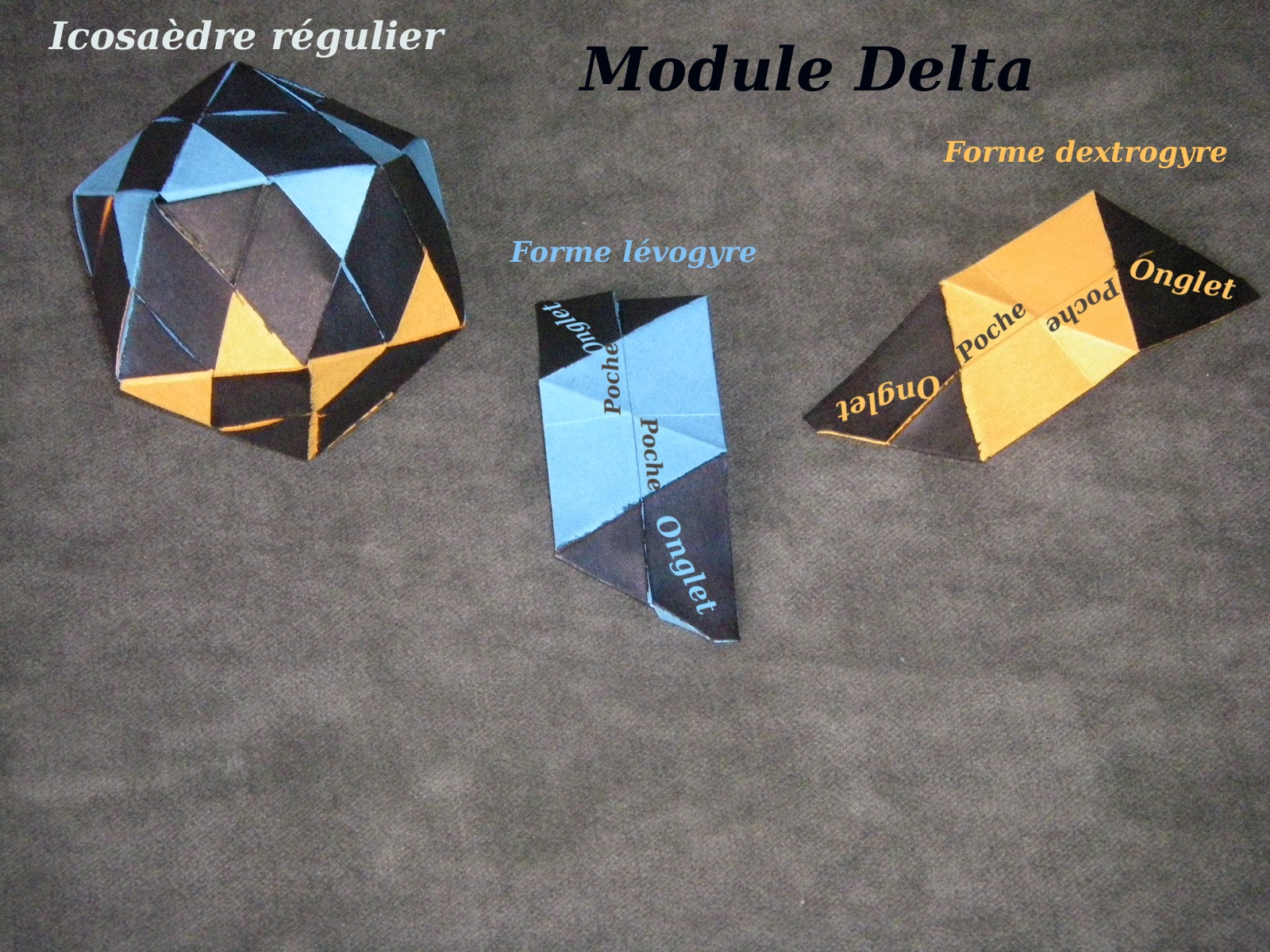 Le module "Delta"